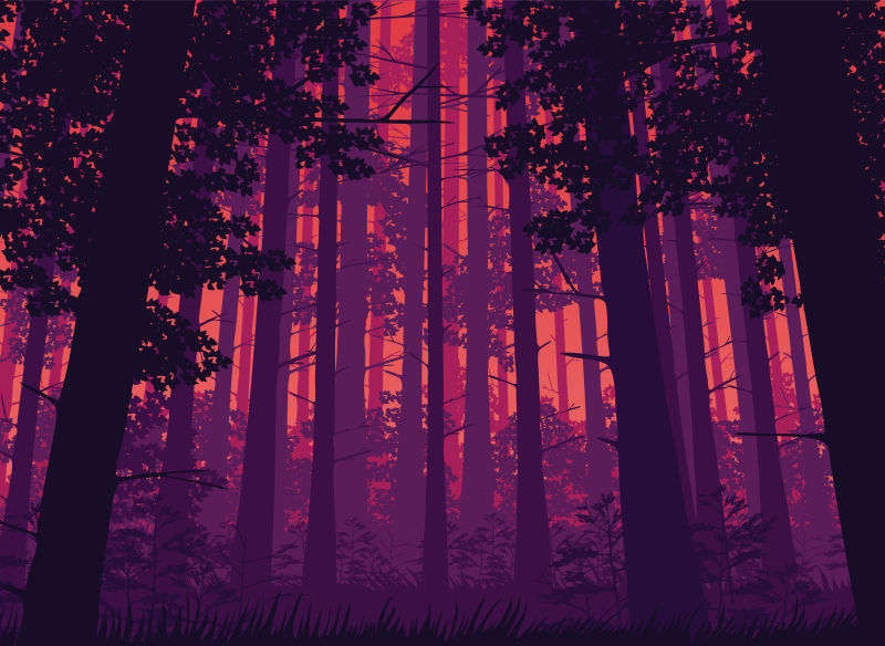 矢量抽象神秘的森林插图