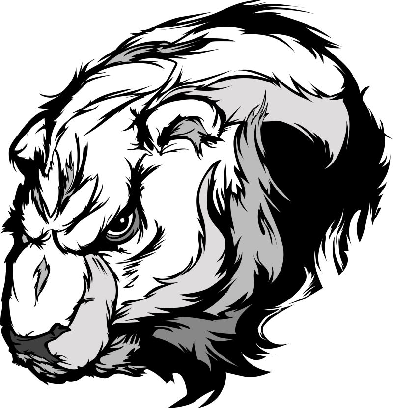 创意矢量卡通北极熊平面插图