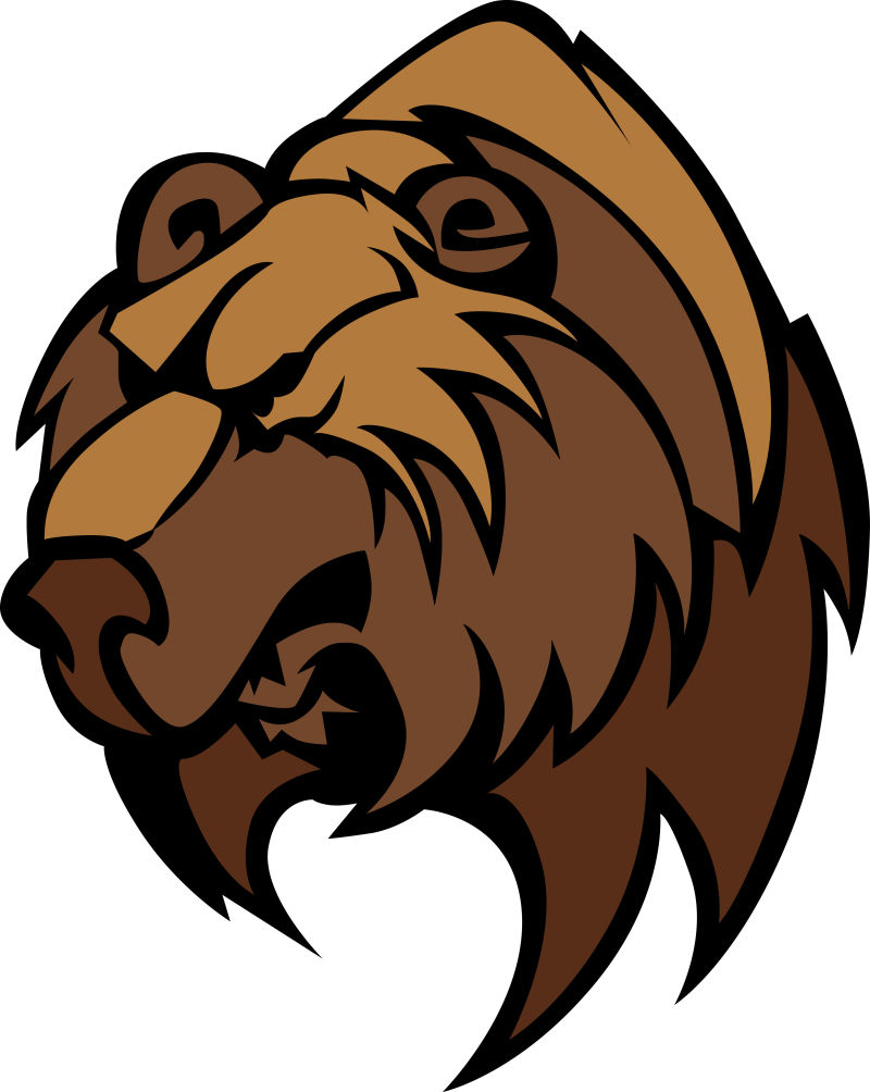 创意矢量棕熊设计插图