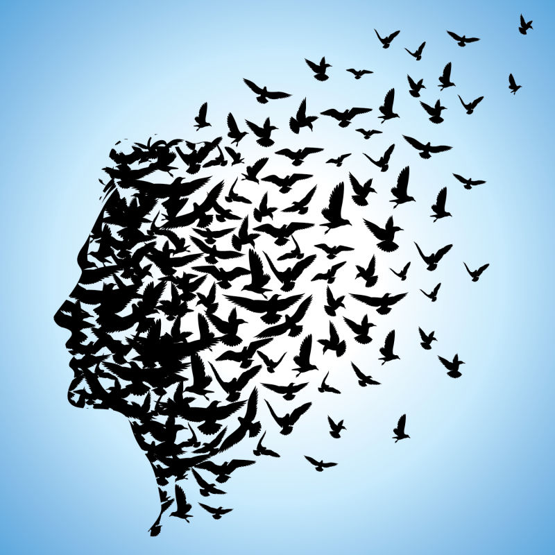 创意矢量飞鸟元素的人头设计