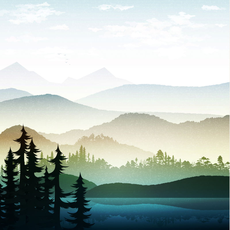 矢量的绚丽森林景观