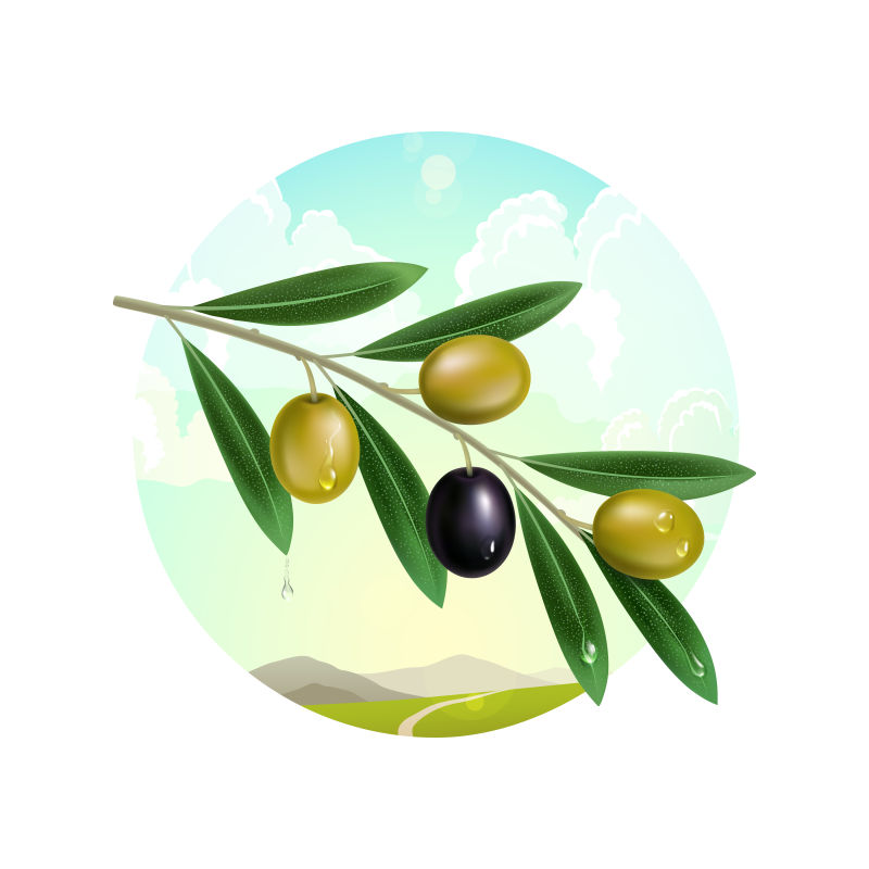 创意矢量创意橄榄平面插图