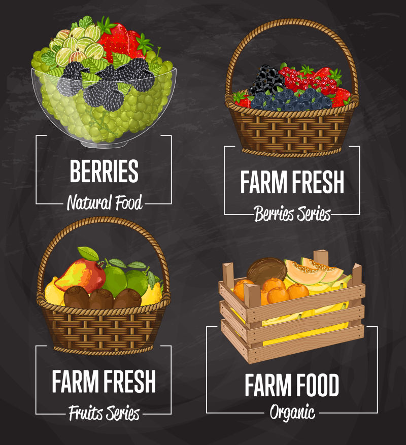 创意矢量现代果蔬设计插图