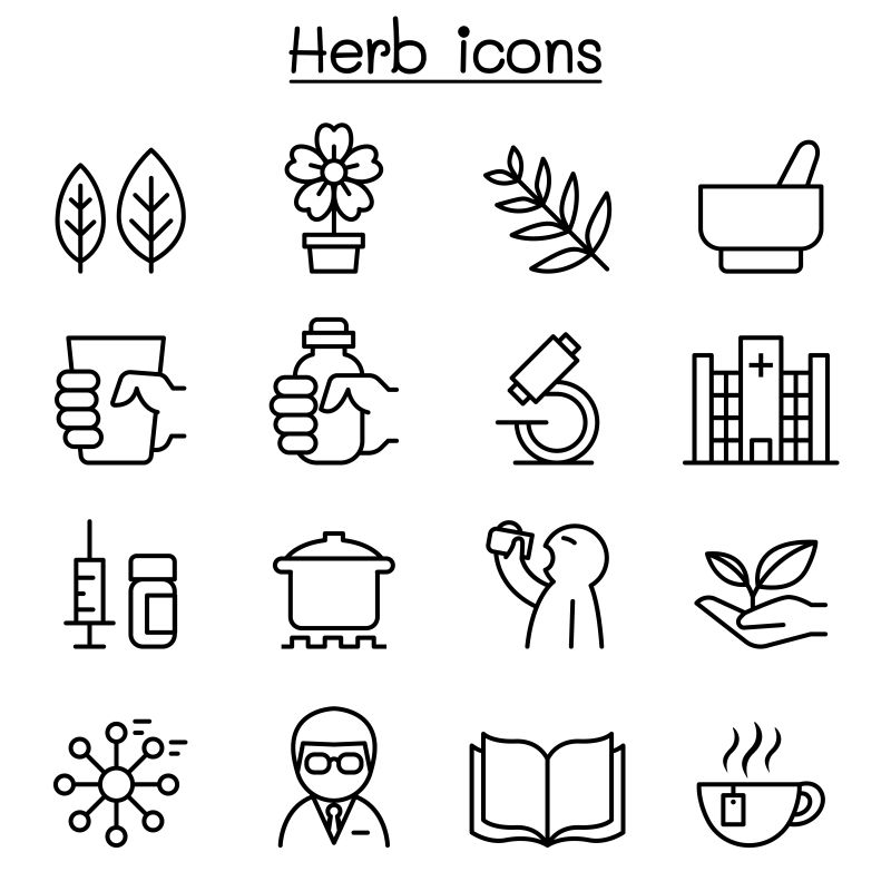 矢量细线风格的草本图标