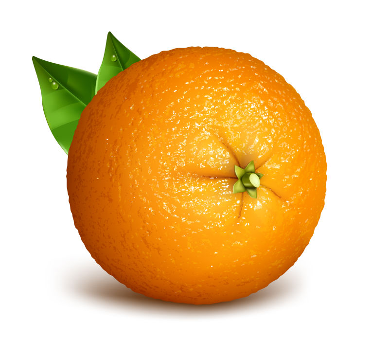 矢量带有叶子的橙子