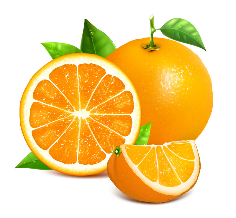 矢量新鲜水果橙子