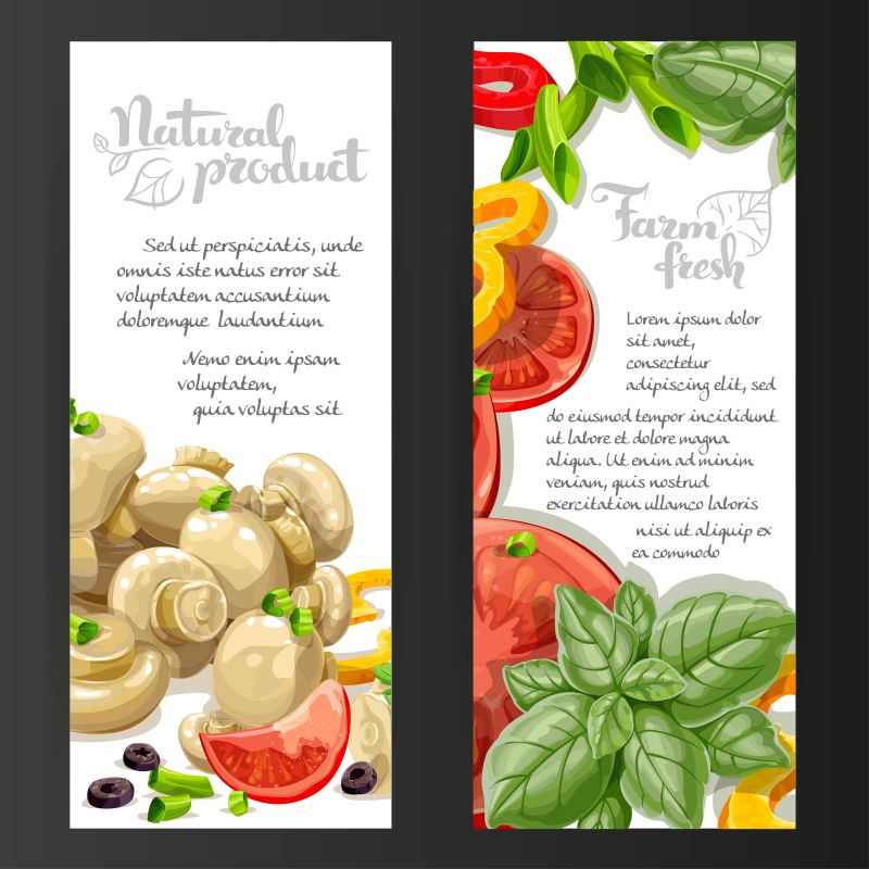 矢量的蔬菜横幅设计