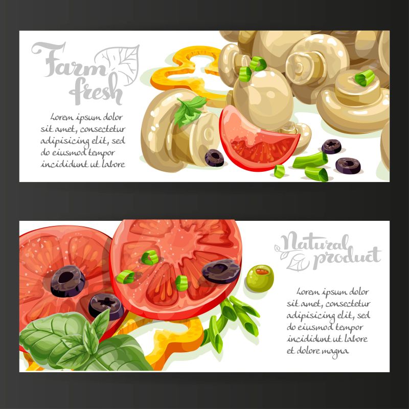 矢量的新鲜蔬菜横幅设计