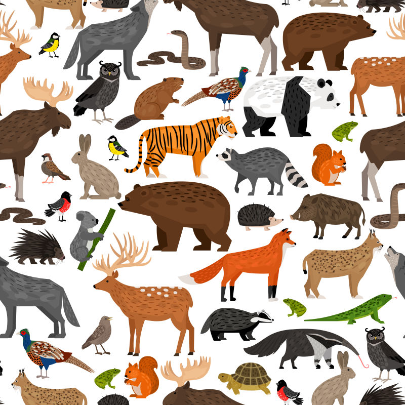 创意矢量森林动物插图设计