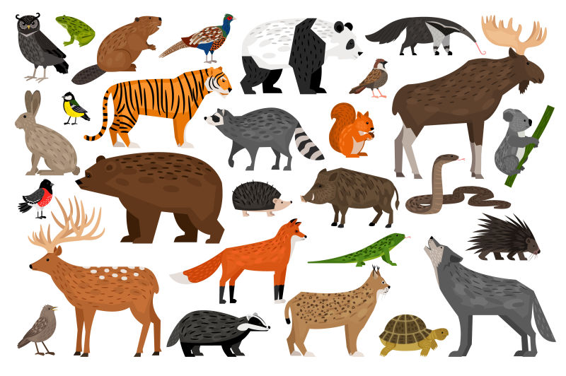 创意矢量平面风格的野生动物插图