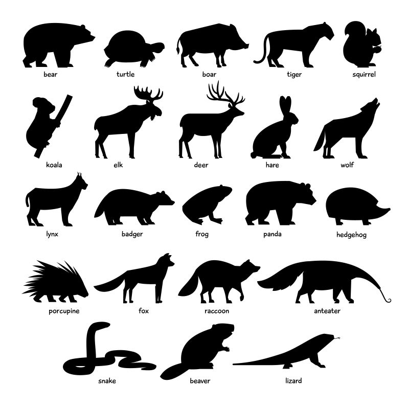 抽象矢量森林动物剪影插图