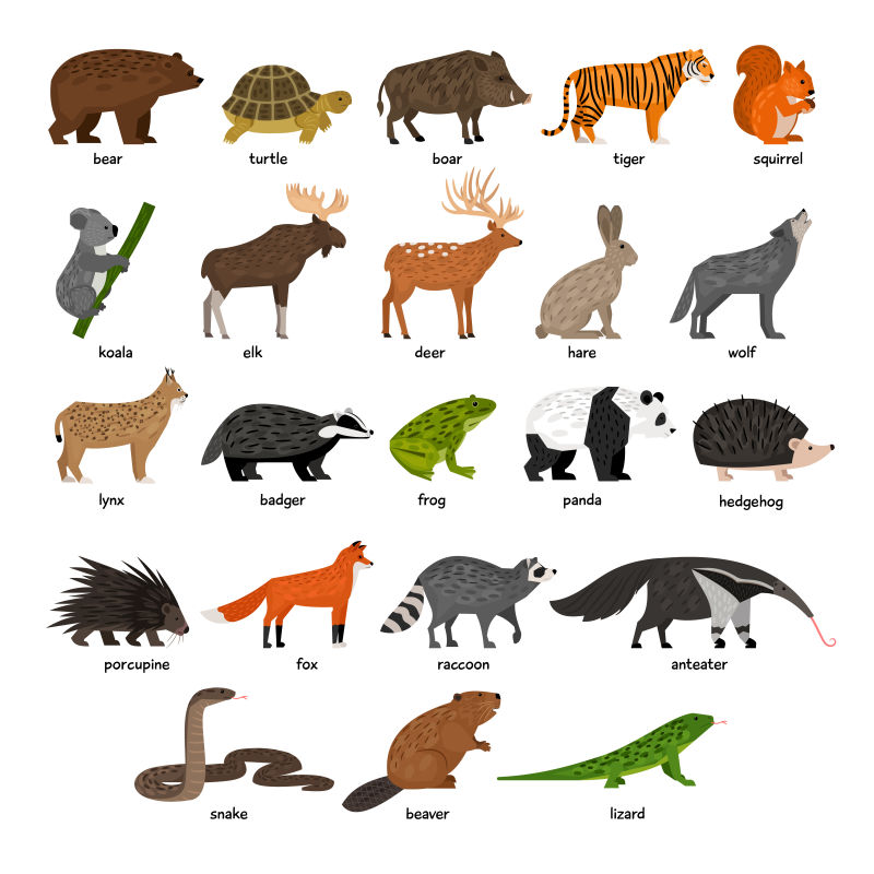 抽象矢量卡通森林动物平面插图