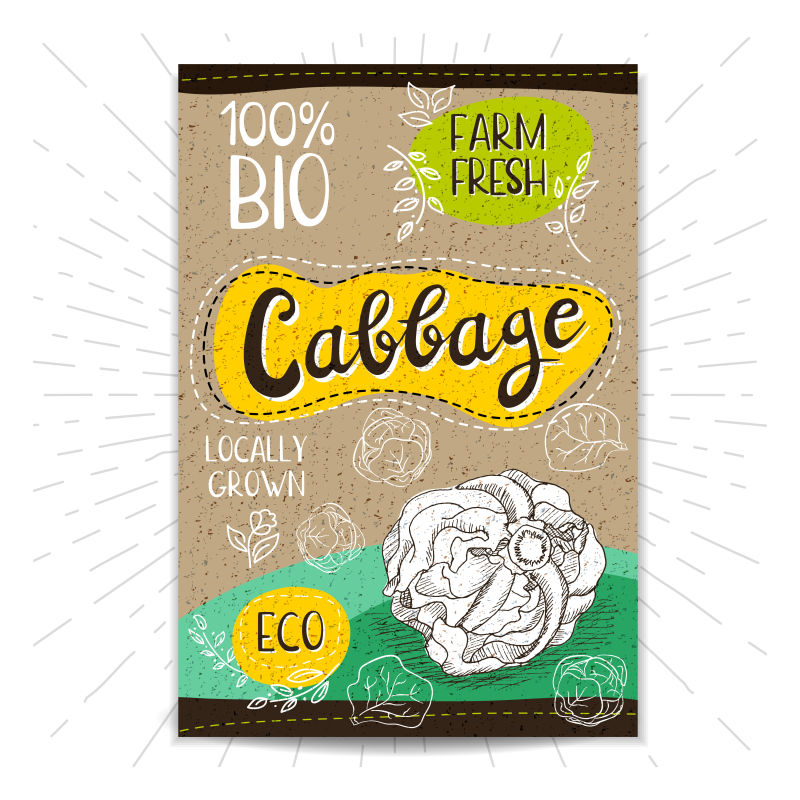 创意矢量手绘卷心菜海报设计