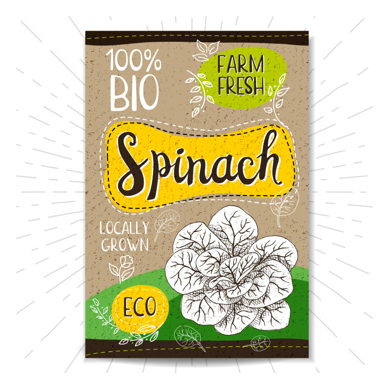 创意矢量手绘菠菜平面海报设计