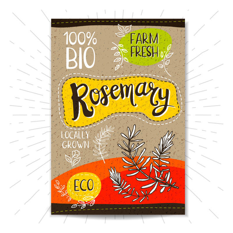 矢量手绘迷迭香海报设计