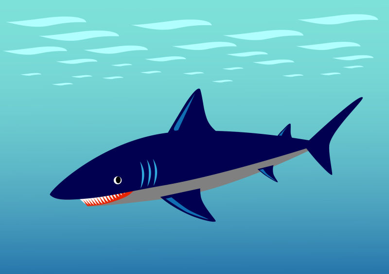 矢量的卡通鲨鱼插图