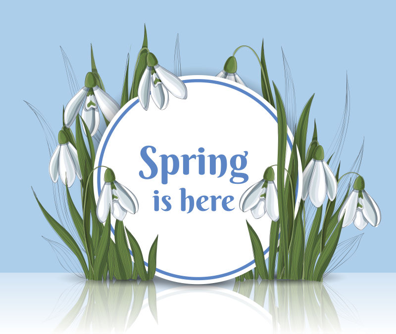 矢量春季草背景