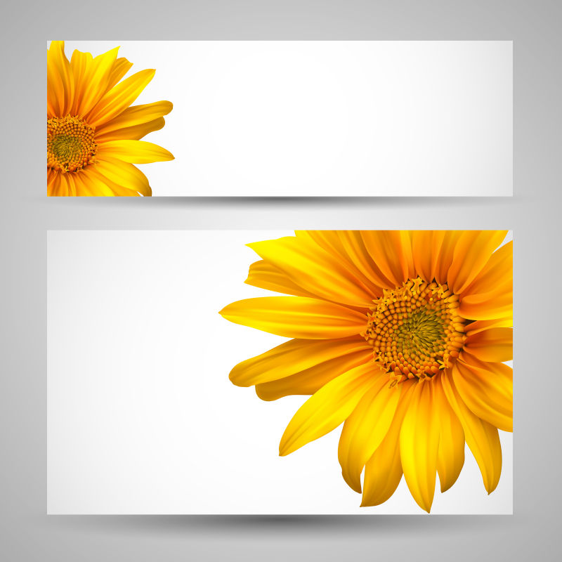 矢量菊花元素的装饰卡片