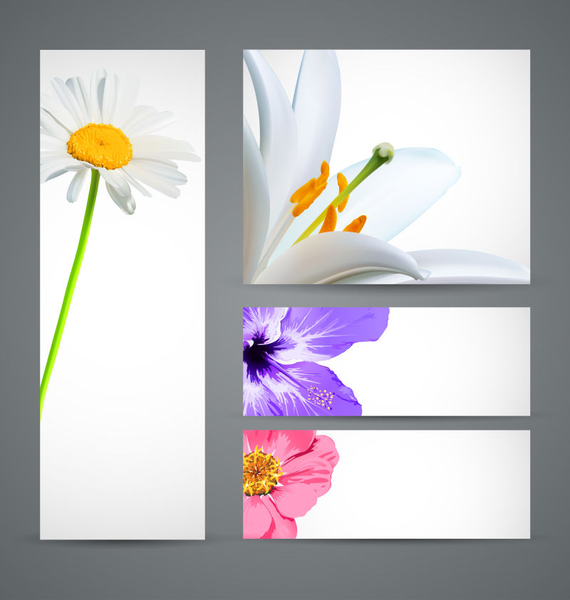 矢量花卉元素的创意卡片设计