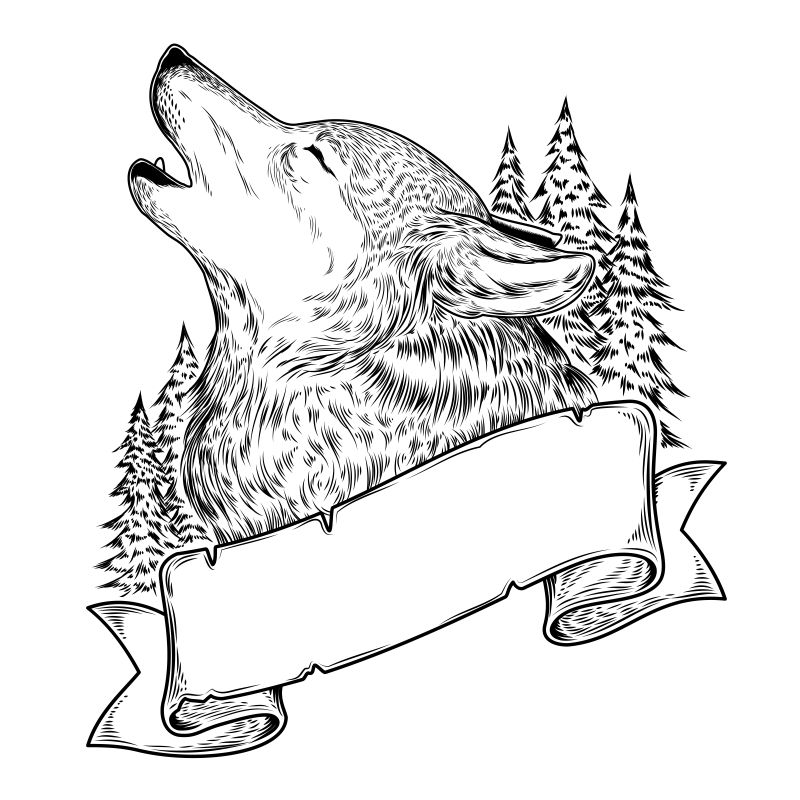 狼纹身手稿 线条图片
