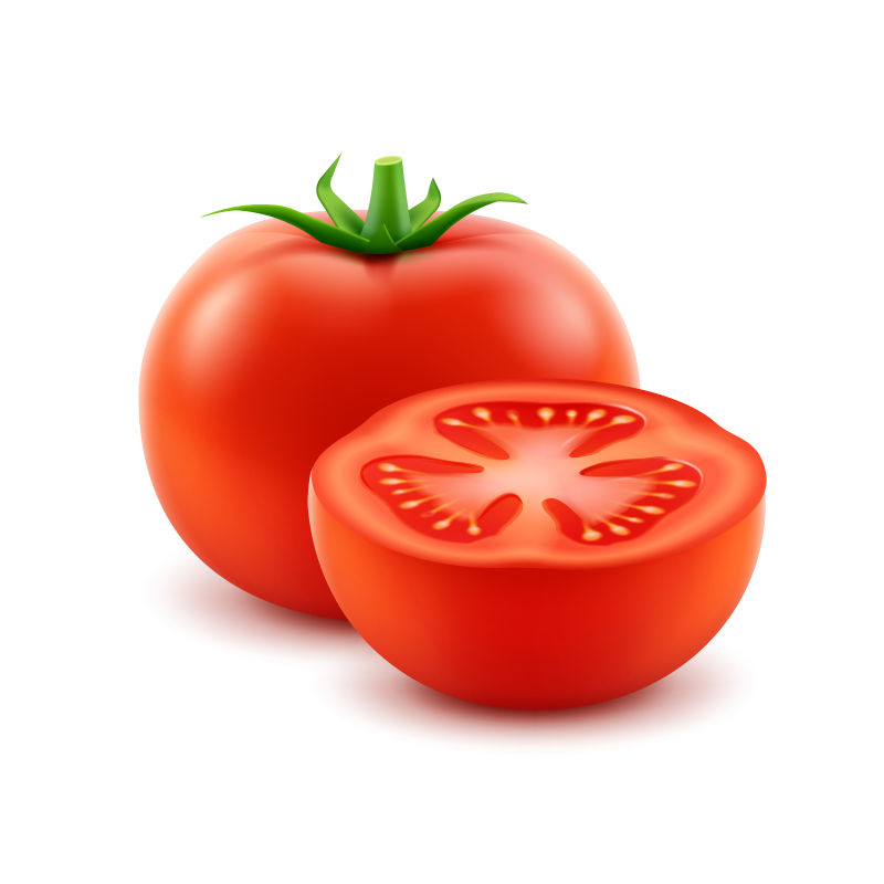 矢量新鲜红色番茄创意插图