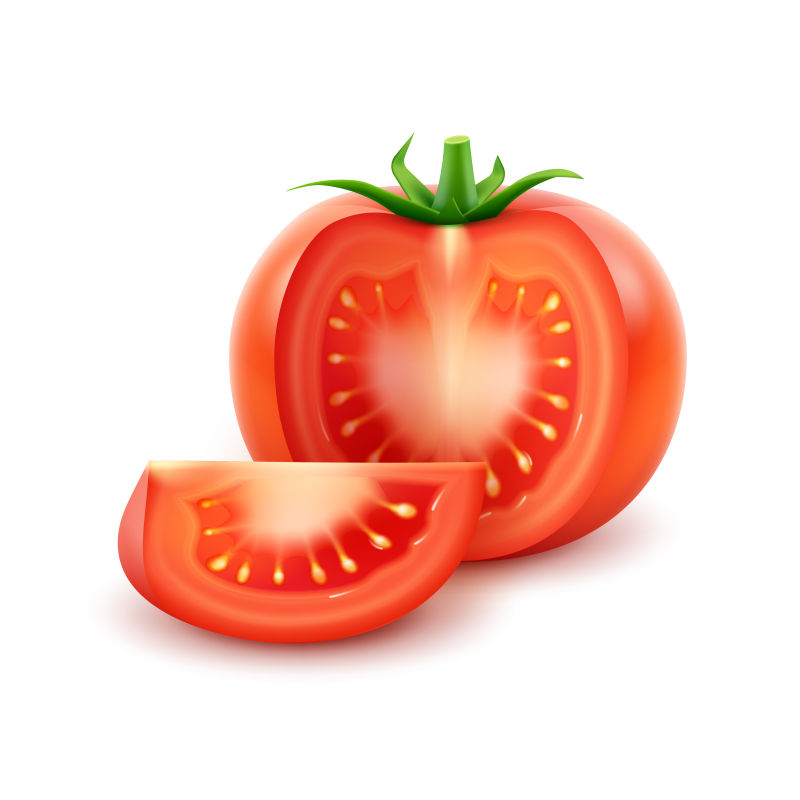 矢量红色新鲜番茄插图
