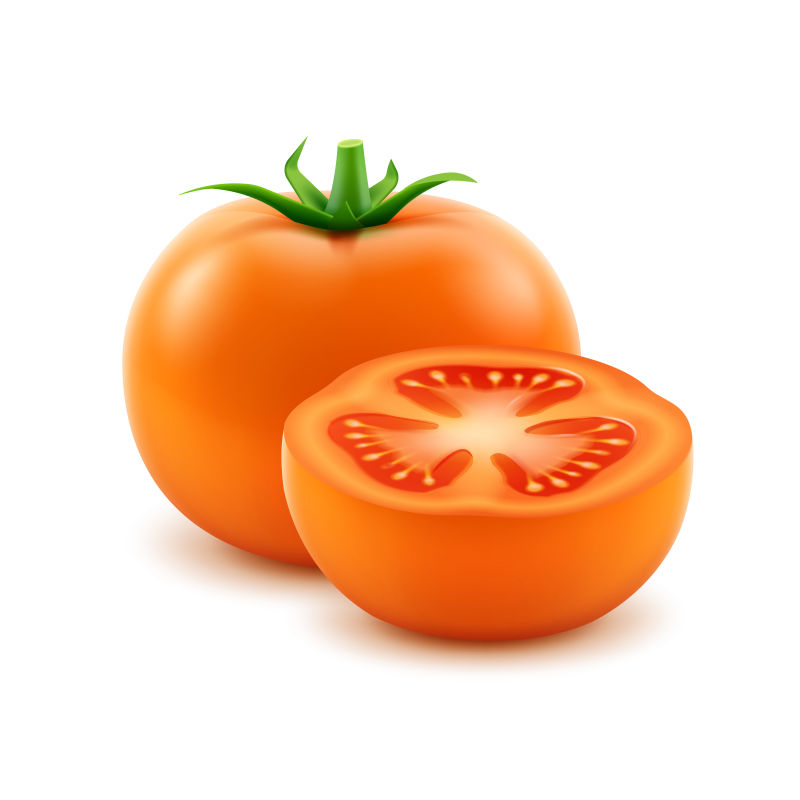 矢量新鲜橙色番茄插图