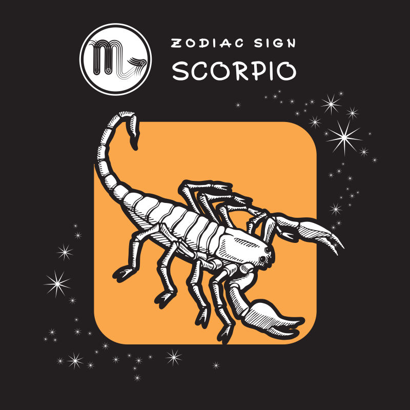 矢量的创意摩羯座插图