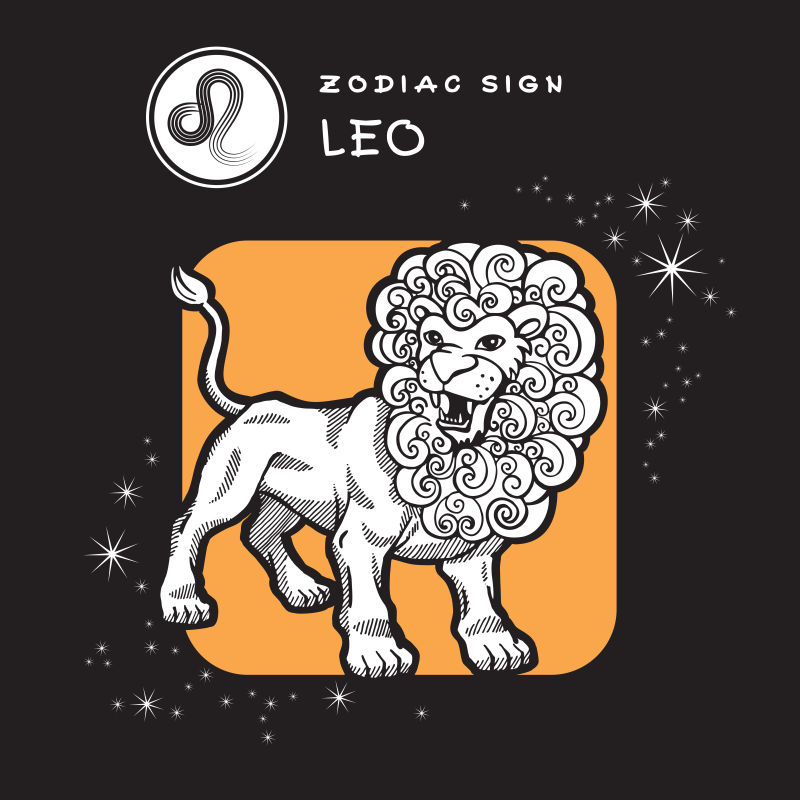 矢量的创意狮子座插图设计