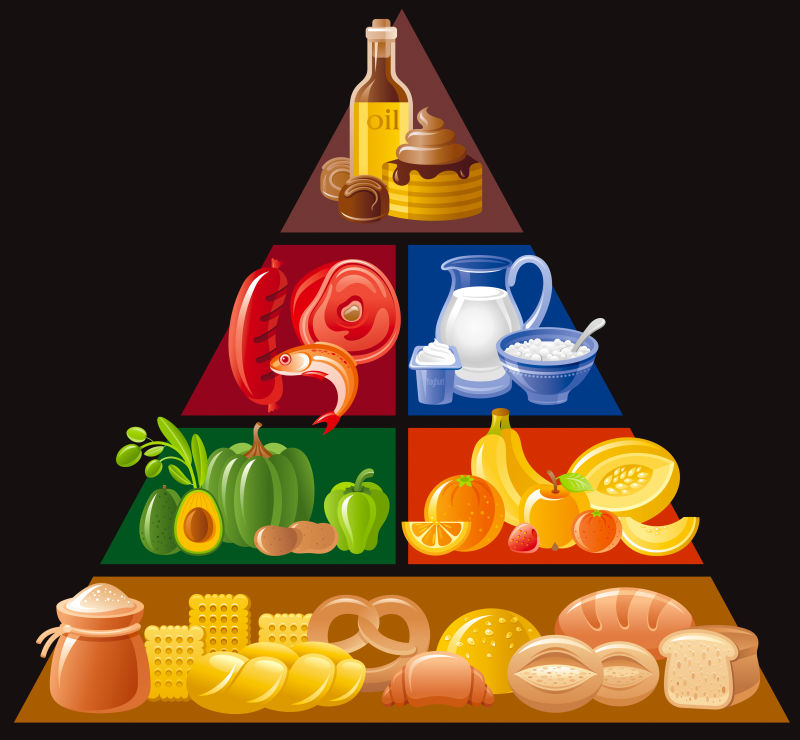 矢量食品指南金字塔图表信息图