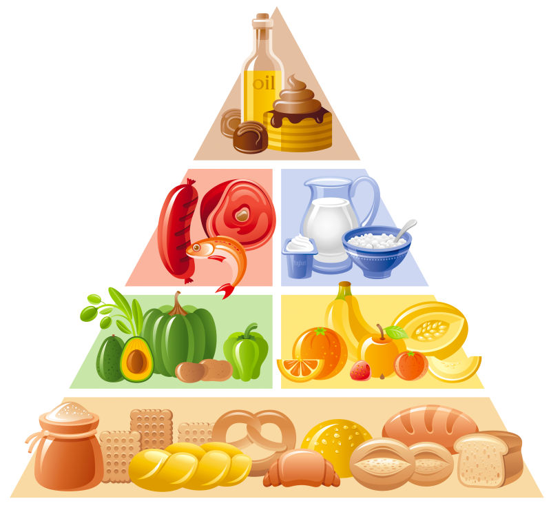 矢量食品指南金字塔图表信息图表