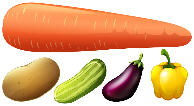 不同种类的新鲜蔬菜矢量插图