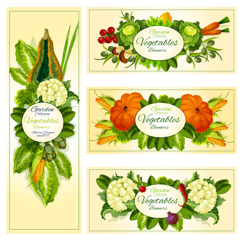抽象矢量蔬菜元素的横幅设计