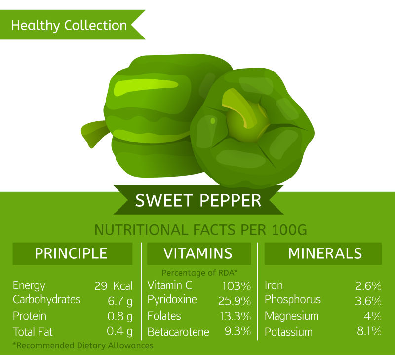 创意矢量青椒的营养成分信息插图