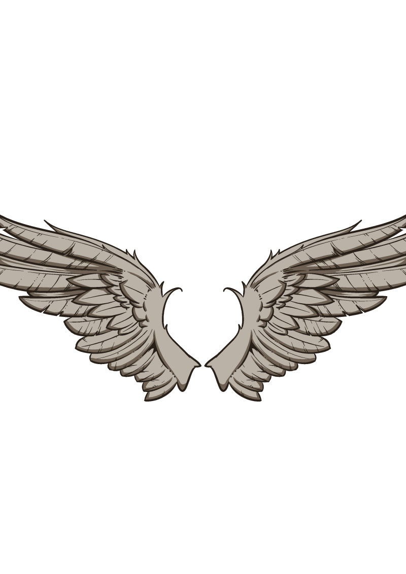 矢量的手绘翅膀插图设计