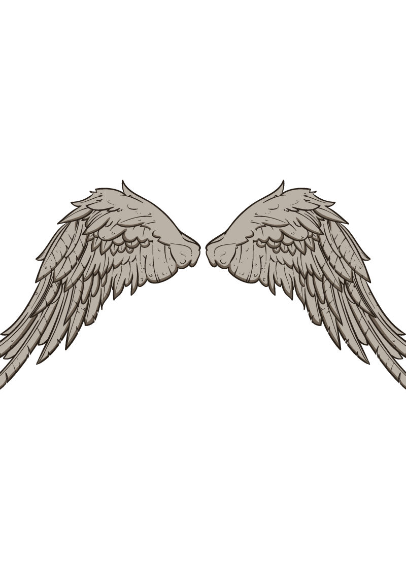 手绘的灰色翅膀矢量设计