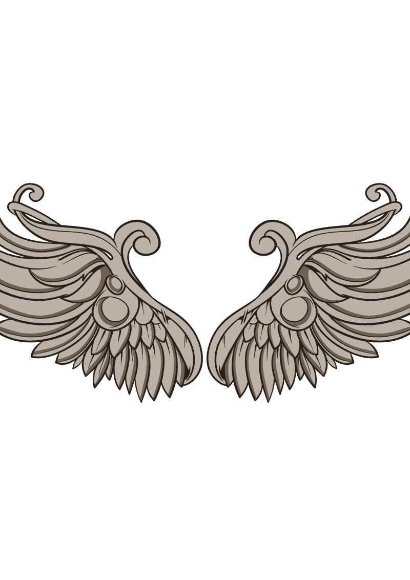 手绘的翅膀插图矢量设计