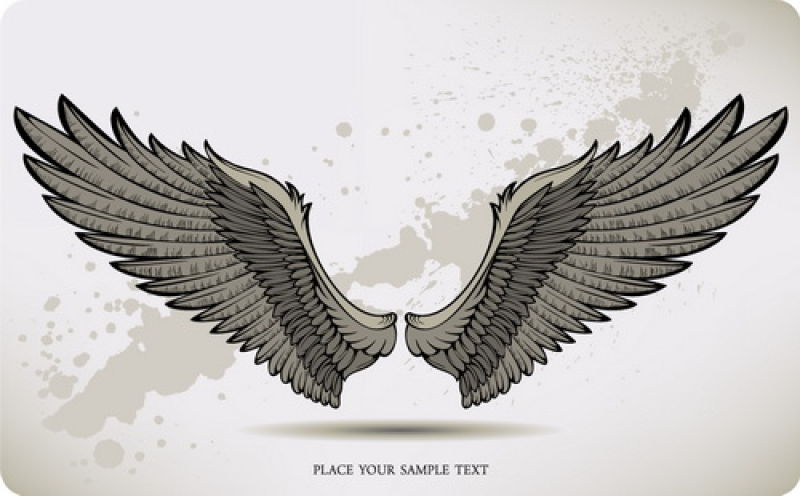 矢量的复古风格翅膀