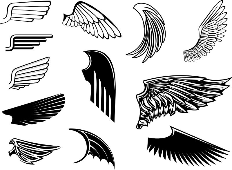 创意的翅膀插图矢量设计