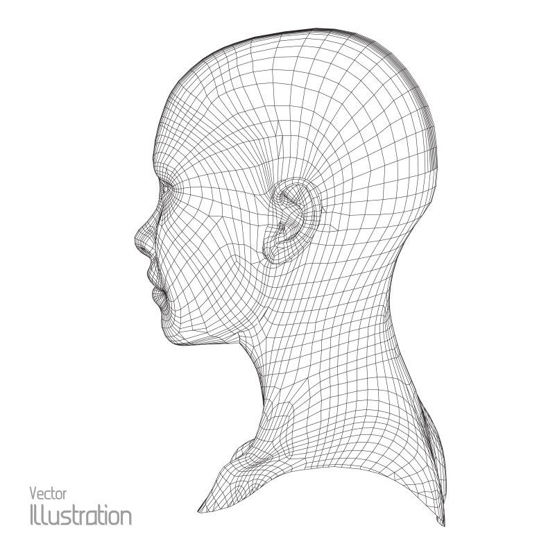 人体头部轮廓图片