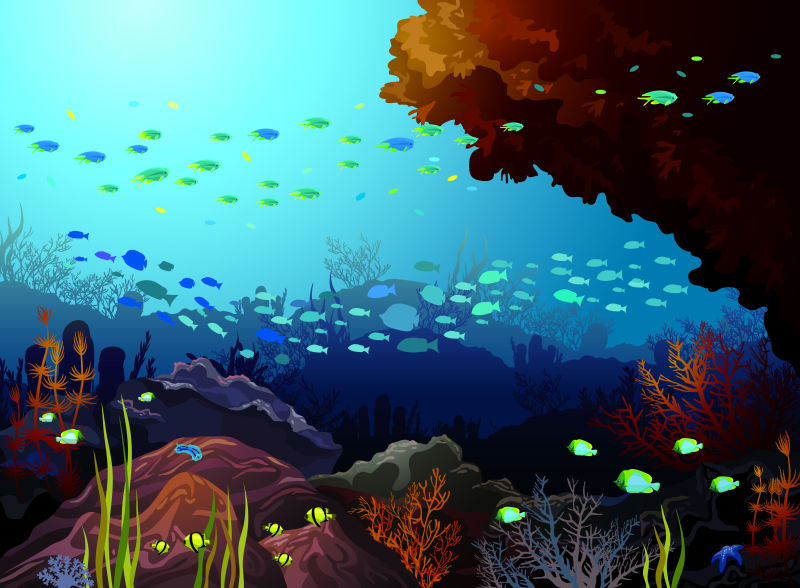 海底扩张动画图片