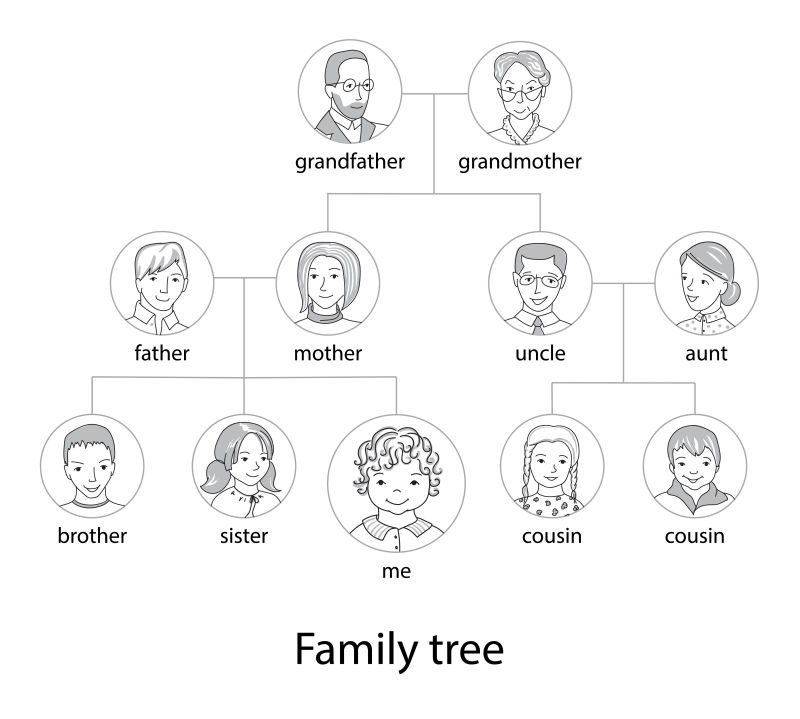 家族图谱排列顺序图片