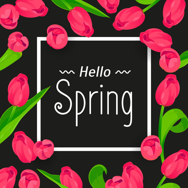 节日装饰框架粉红郁金香特别设计的母亲节3月8日和复活节