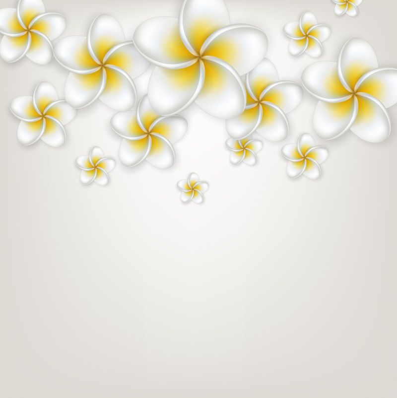 创意矢量白色兰花设计元素背景