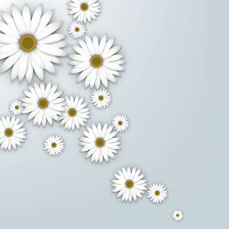 创意矢量白色雏菊元素设计背景