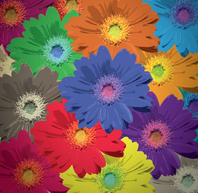 创意矢量彩色绽放的菊花插图