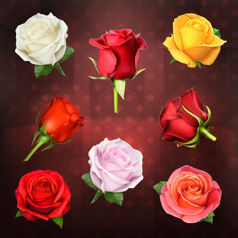创意矢量各种玫瑰设计元素