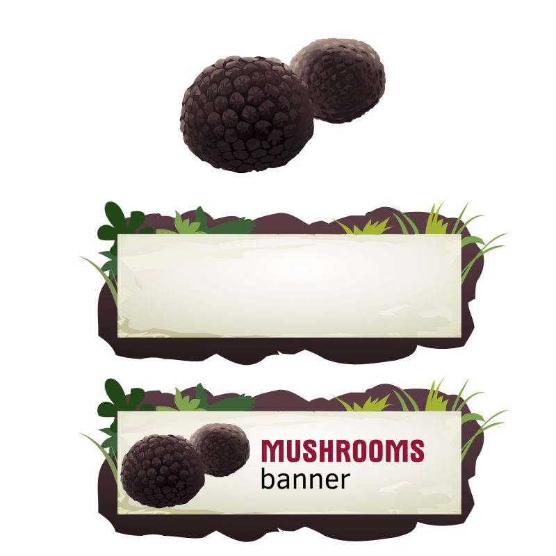 蘑菇矢量横幅徽章贴纸块菌图标