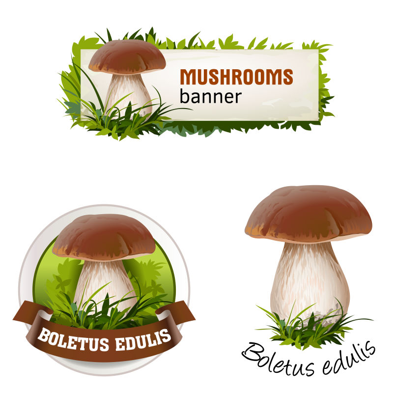 蘑菇矢量横幅徽章贴纸图标