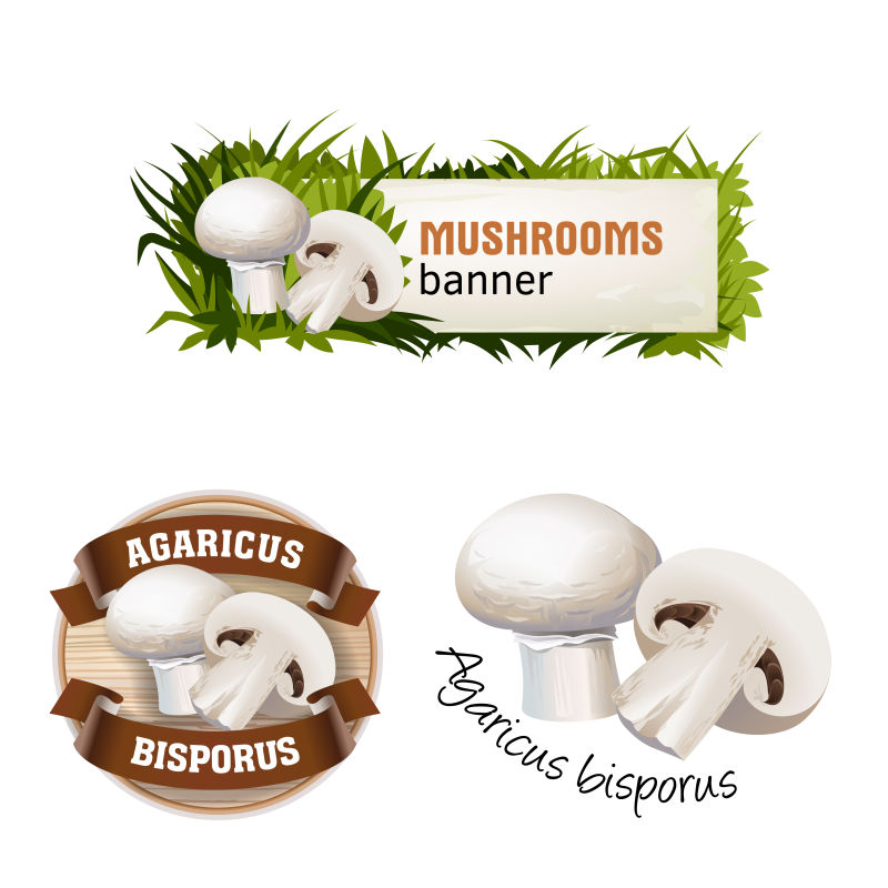 蘑菇矢量横幅徽章贴纸香菇图标